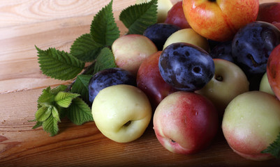 Plums and nectarines on table