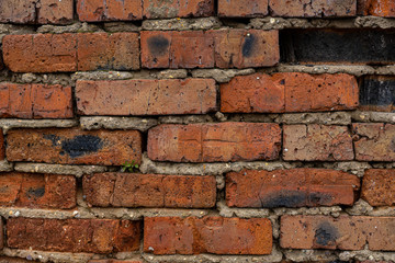 Obraz premium old crumbling abandoned brick wall