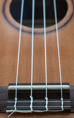 close up of ukulele strings fretboard wood