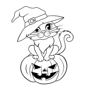 Halloween cat in a witch hat sitting on halloween pumpkin. Black and white illustration for coloring book