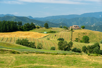 Fototapeta na wymiar Summer landscape near Bagno di Romagna, in the Appennino