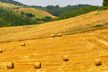 Summer landscape near Bagno di Romagna, in the Appennino