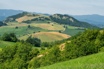 Naklejka na ściany i meble Summer landscape near Bagno di Romagna, in the Appennino