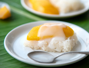 Ripe Mango with sweet sticky rice pour coconut milk in a white dish on a banana leaf. popular Thai dessert.