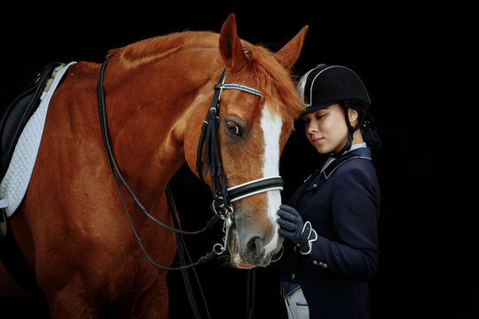 Portrait of a red dressage horse and young woman on black background. Girl with horse. Equestrian sport