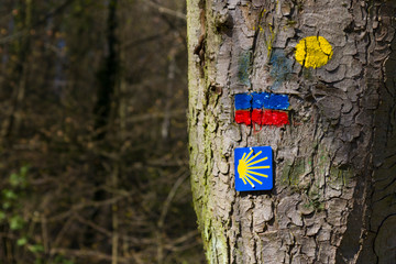 Naklejka premium Jakobsmuschel als Wegzeichen auf dem Pfälzer Jakobsweg Nord