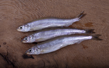 Smelt fish on cutting board