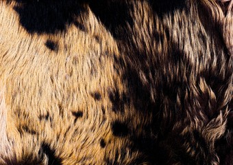 Fluffy abstract background. Faux fur texture. Beige brown hairy textile surface.
