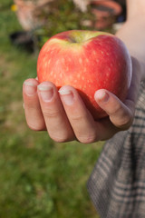 A red apple in a child's hand