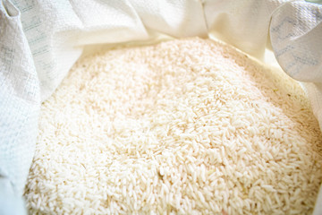 White rice seeds in sacks