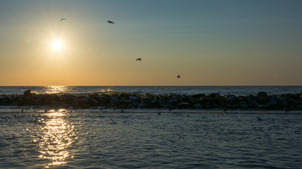 zachód słońca nad morzem bałtyckim, ptaki i falochron