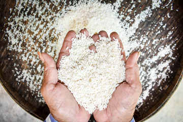 Rice products produced by farmers are. Hand holding rice. .