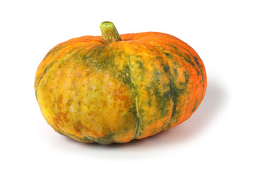 Orange pumpkin