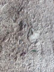 stone wall texture