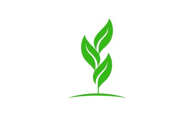 vector leaf logo simple