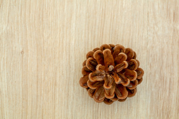 Top vieve pine cones background