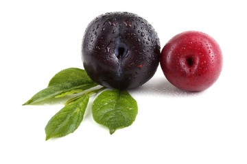 Plums and leaves