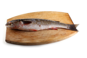 So-iny mullet