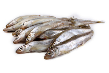 Smelt fish
