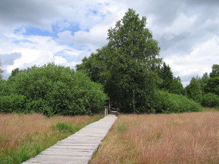 Fototapeta na wymiar Naturlehrpfad und Naturschutzgebiet Schwarzes Moor in der Rhön