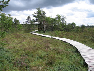 Naturlehrpfad Naturschutzgebiet Moorweg Schwarzes Moor Rhön