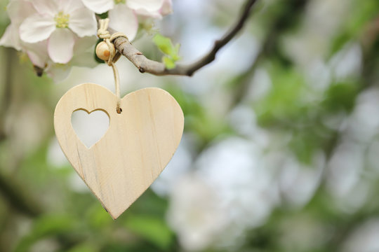 h&auml;ngendens herz  aus holz im apflebaum