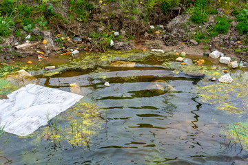 A dirty puddle polluted with various rubbish and garbage. Water pollution environment. Waste...