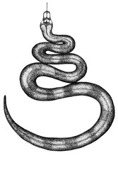 ink snake on a white monocrome

