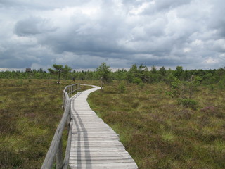 Naturlehrpfad und Naturschutzgebiet Schwarzes Moor in der Rhön