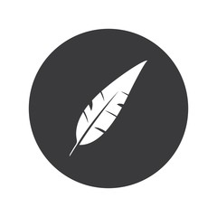 quill  logo