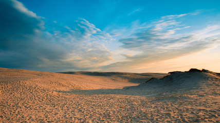 Fototapeta na wymiar Big sand dune in golden sunset light