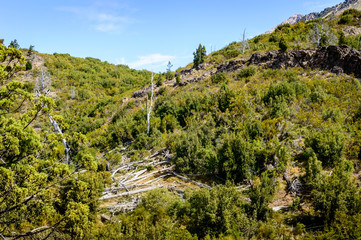 Lake scenery in mountains, trees, green mountain scenery