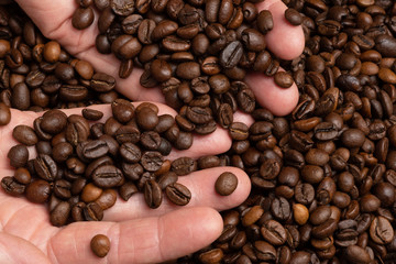Roasted dark aromatic coffee beans in the hands of a farmer. Selective focus on coffee beans in hands .