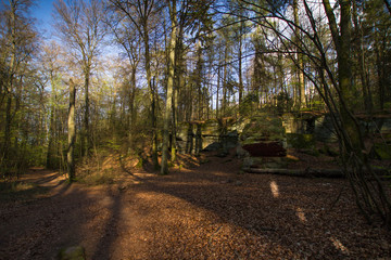 Fototapete bei efototapeten.de bestellen   