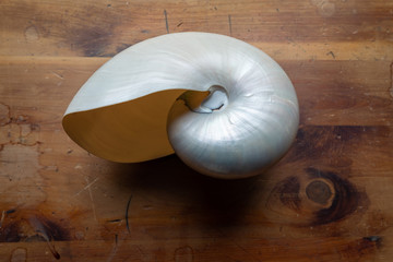 Beautiful mother of pearl chambered nautilus shell centered on an old wood background, exquisite...