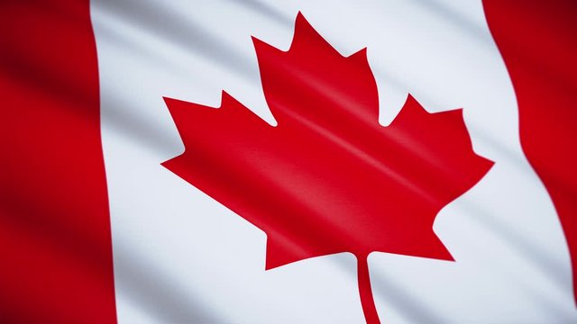 Canadian flag close-up. Fluttering in the wind. Looped video footage. 4K. HD