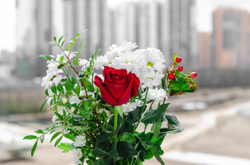 a bouquet of flowers on a blurry city background..