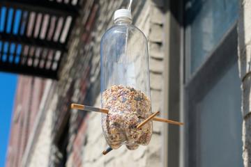 Homemade Plastic Bottle Bird Feeder Hanging Outside an Urban Apartment Building in New York City
