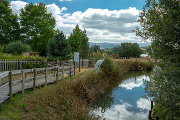 Fototapeta premium Lago dos Cisnes na 