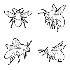 Bumblebee Vector Illustration Hand Drawn Animal Cartoon Art