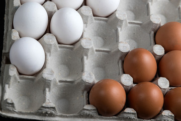 chicken eggs in a cardboard egg tray. White and brown eggs in one tray. The farm's products. Natural egg protein to the diet.