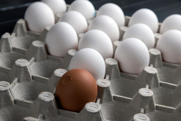 Cardboard tray for chicken eggs. White and yellow chicken eggs. Agricultural industry. Natural egg...