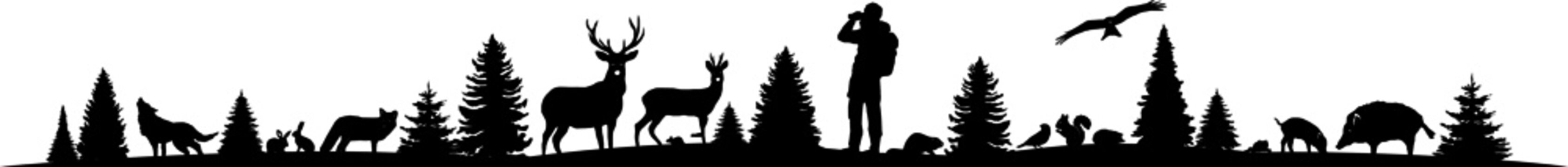 Landscape Nature Forest Animal Silhouette Vector
