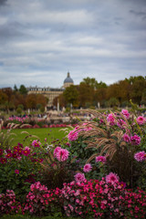Tuileries Garden, Paris france