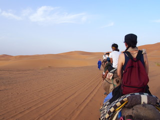 Camels line up in a row in the Sahara Desert, Merzouga, Morocco