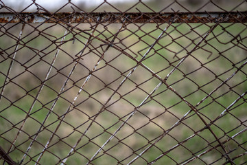 Rusty iron fence in the yard