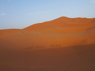 Fototapeta na wymiar Shadows of people riding camels, Sahara Desert, Merzouga, Morocco