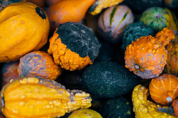 Pumpkins, vegetables in a heap. Halloween Vegetarianism. Gardening. Fresh vegetables. Freshness. Market.