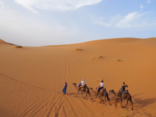 Camels line up in a row in the Sahara Desert, Merzouga, Morocco