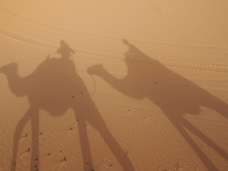 Shadows of people riding camels, Sahara Desert, Merzouga, Morocco